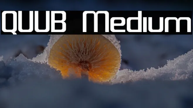 QUUB Medium Example 3