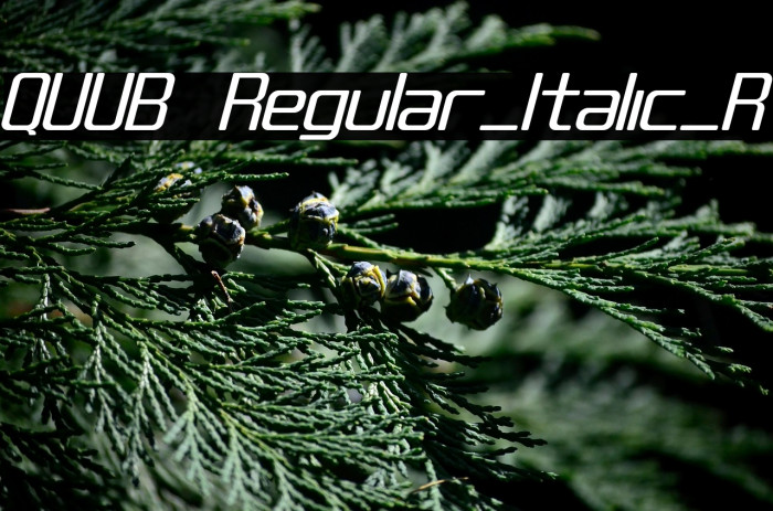 QUUB Regular_Italic_R Example 2