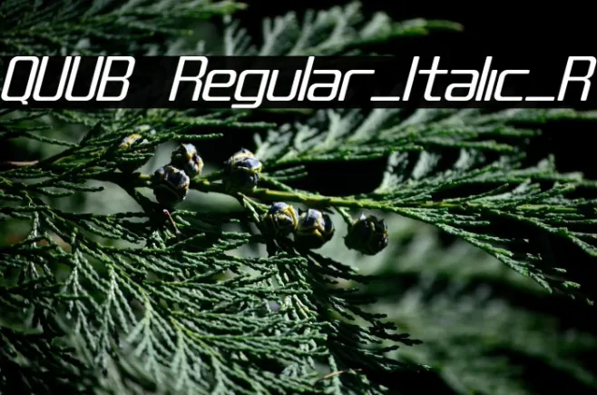 QUUB Regular_Italic_R Font | Free Download (TTF/OTF) | FFonts.net