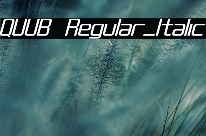 QUUB Regular_Italic Example 1