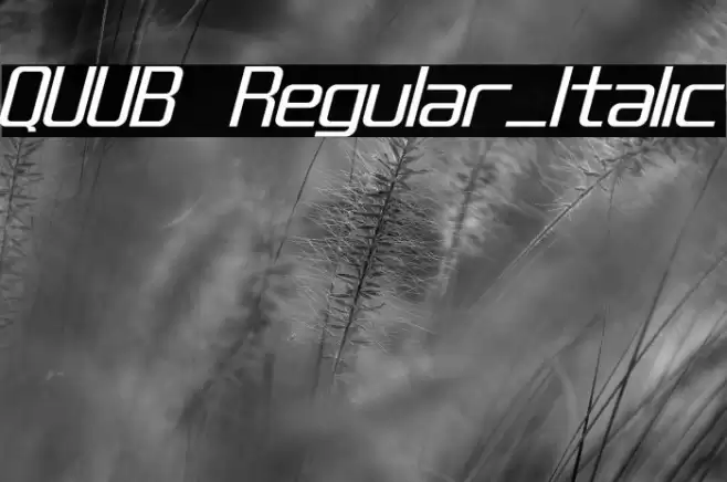 QUUB Regular_Italic Font examples