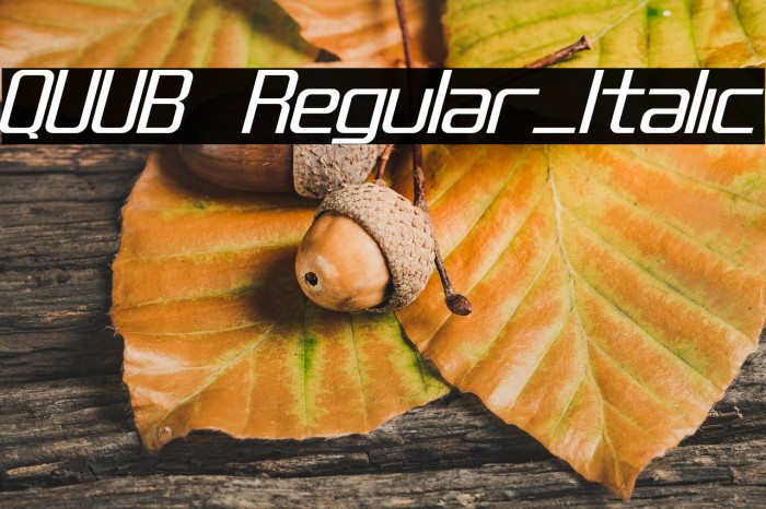 QUUB Regular_Italic Example 3