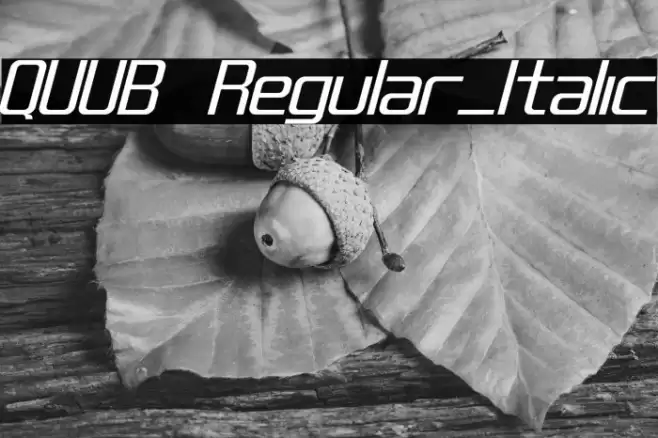 QUUB Regular_Italic Font examples