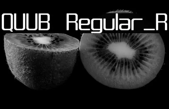 QUUB Regular_R Font examples