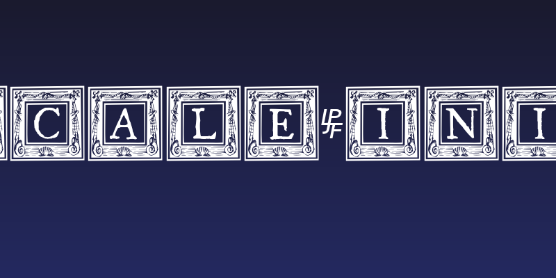 QuaNauticale_Initials_No2 Social Header