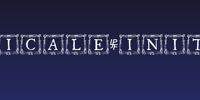 QuaNauticale_Initials_No3 Social Header