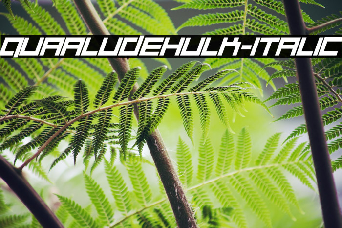 Quaaludehulk-Italic Font examples