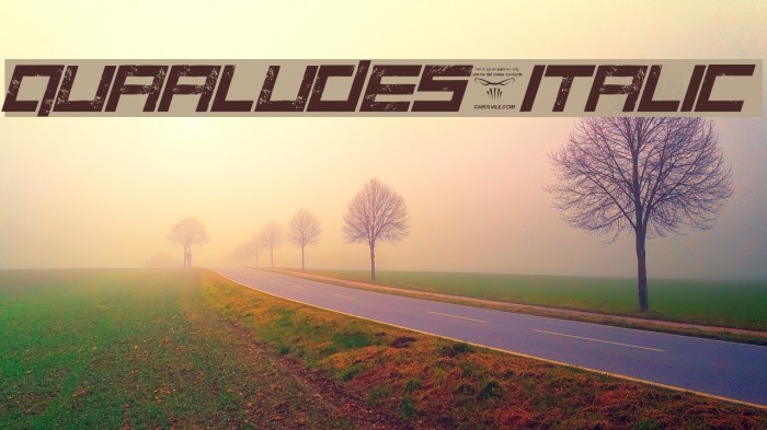 Quaaludes-Italic Font examples