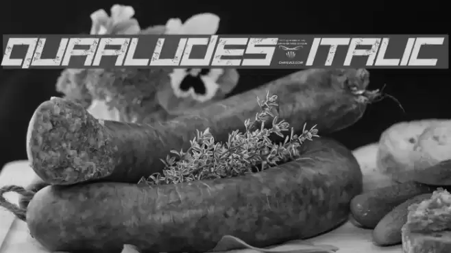 Quaaludes-Italic Font examples