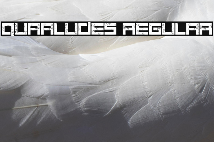 Quaaludes Regular Example 3