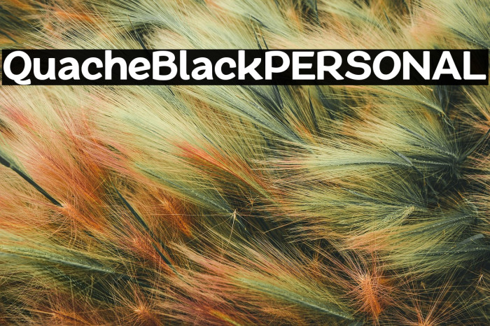 QuacheBlackPERSONAL Example 1