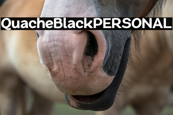 QuacheBlackPERSONAL Example 3