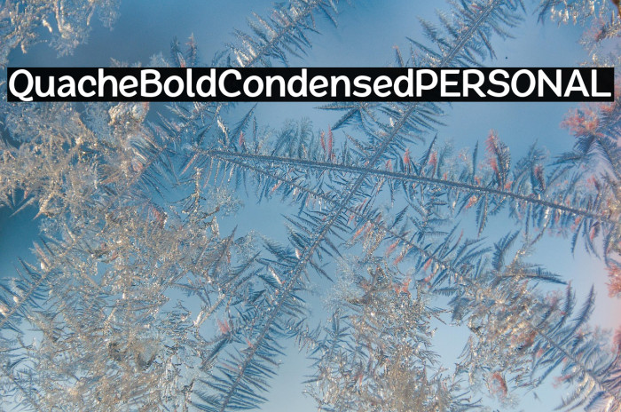 QuacheBoldCondensedPERSONAL Example 2