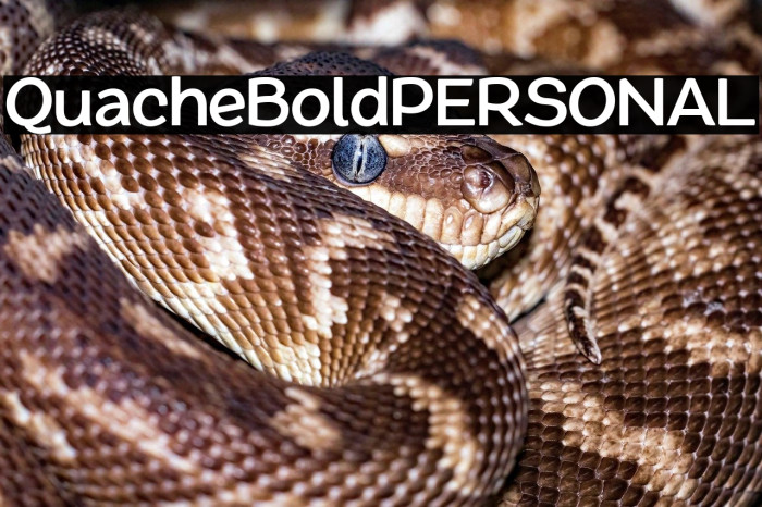 QuacheBoldPERSONAL Example 1