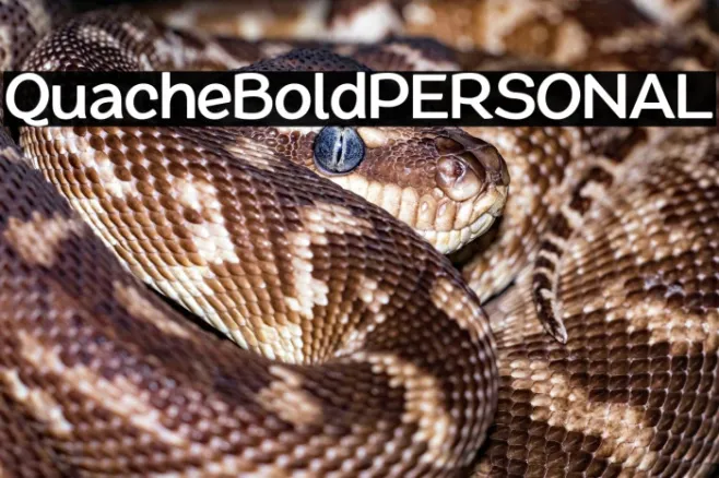 QuacheBoldPERSONAL Example 1