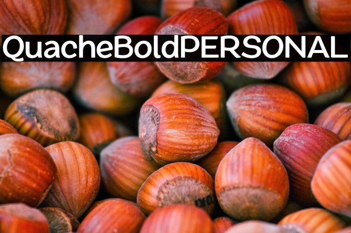 QuacheBoldPERSONAL Example 3
