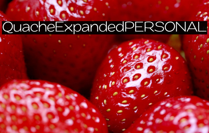 QuacheExpandedPERSONAL Example 2