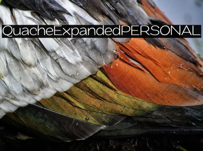 QuacheExpandedPERSONAL Example 3