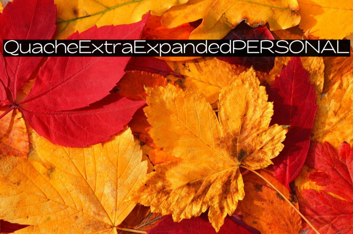 QuacheExtraExpandedPERSONAL Example 3