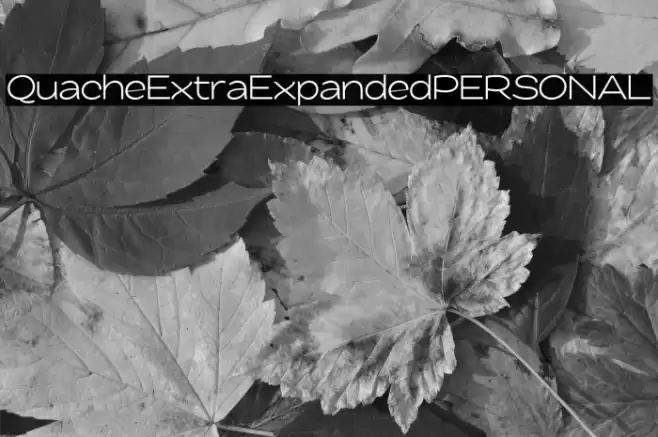 QuacheExtraExpandedPERSONAL Font examples