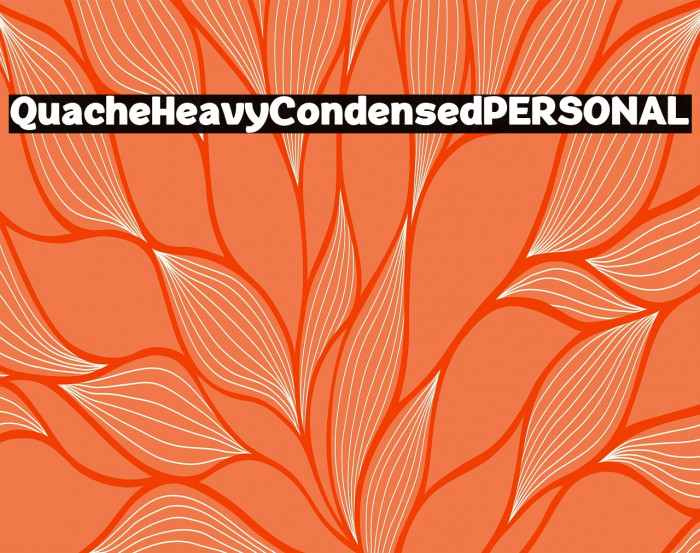 QuacheHeavyCondensedPERSONAL Example 1