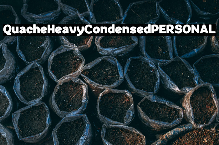 QuacheHeavyCondensedPERSONAL Example 2