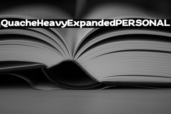 QuacheHeavyExpandedPERSONAL Example 3