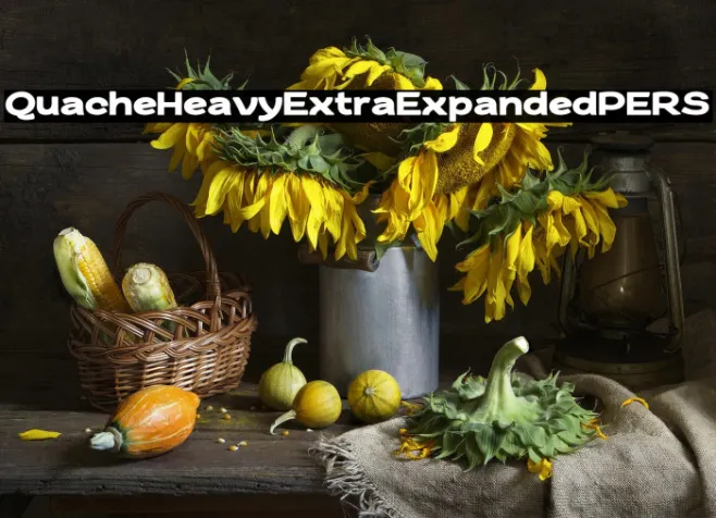 QuacheHeavyExtraExpandedPERS Example 2