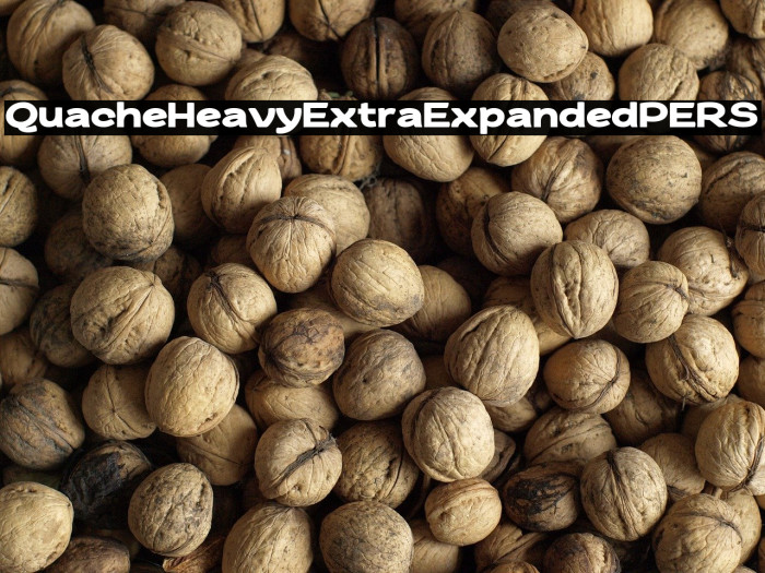 QuacheHeavyExtraExpandedPERS Example 3