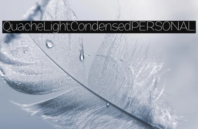 QuacheLightCondensedPERSONAL Example 3