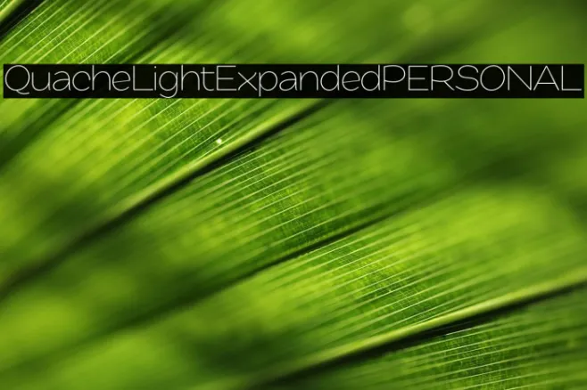 QuacheLightExpandedPERSONAL Example 1
