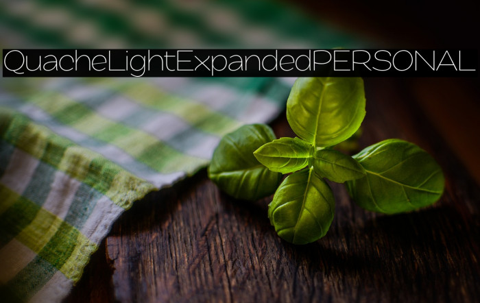 QuacheLightExpandedPERSONAL Example 2