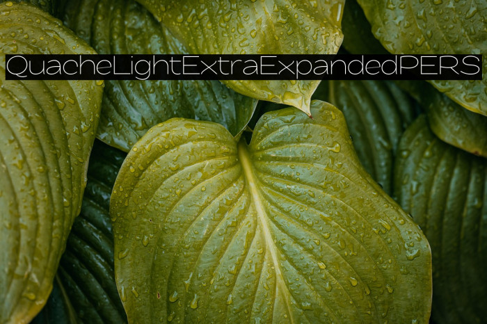 QuacheLightExtraExpandedPERS Example 1