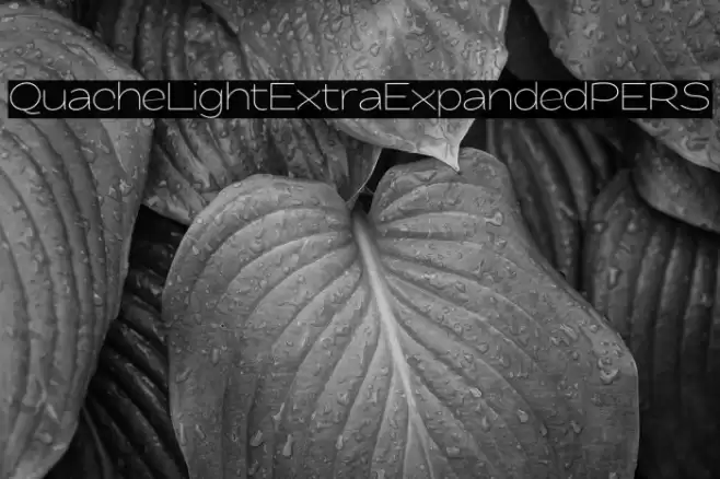 QuacheLightExtraExpandedPERS Font examples