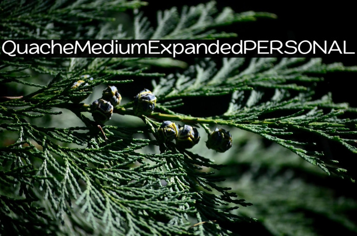 QuacheMediumExpandedPERSONAL Example 1
