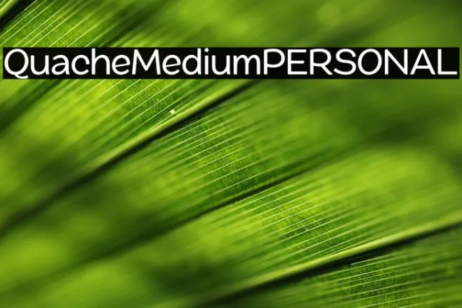 QuacheMediumPERSONAL Example 2