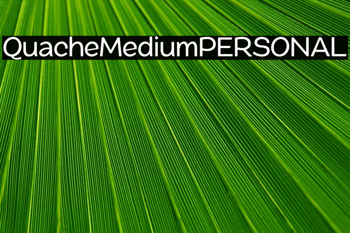 QuacheMediumPERSONAL Example 3