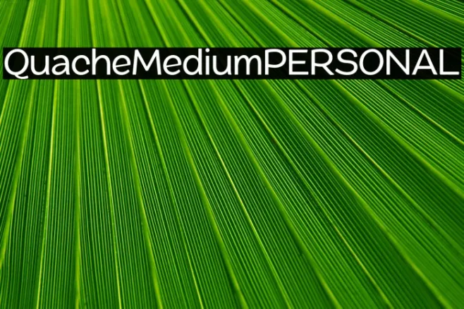 QuacheMediumPERSONAL Example 3