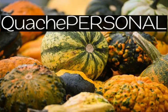 QuachePERSONAL Example 2