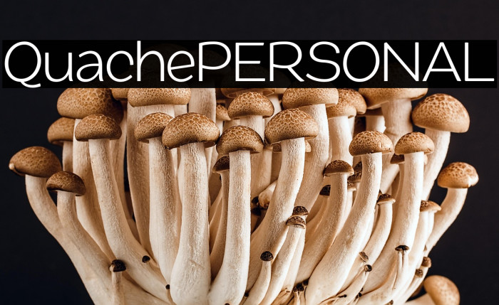 QuachePERSONAL Example 3