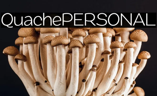 QuachePERSONAL Example 3