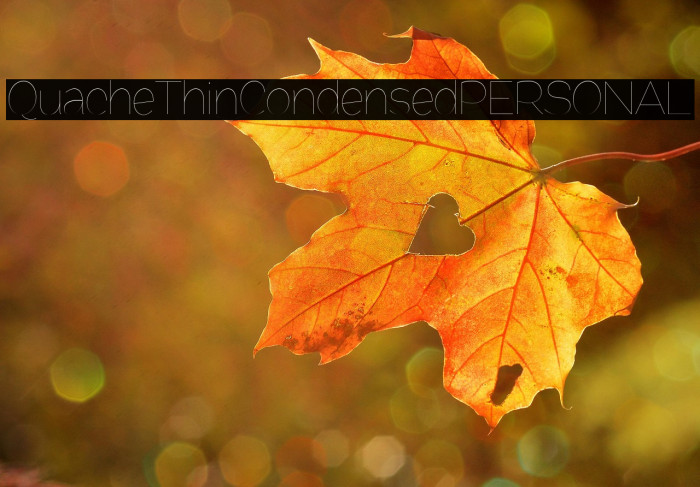 QuacheThinCondensedPERSONAL Example 3