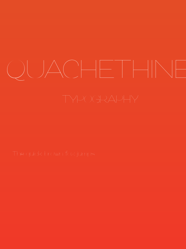 QuacheThinExpandedPERSONAL Poster