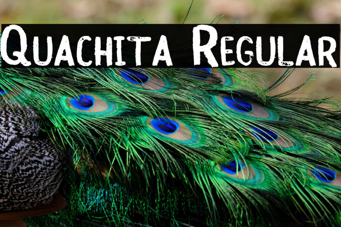 Quachita Regular Example 3