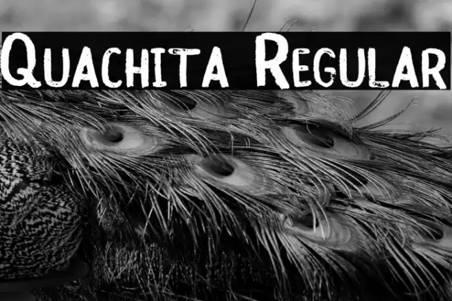 Quachita Regular Font examples