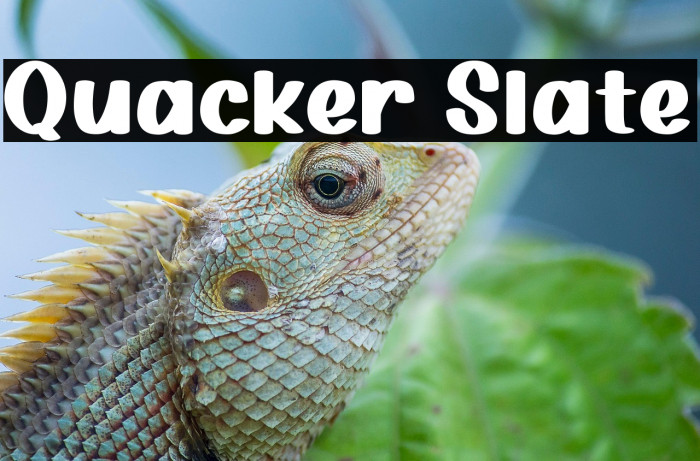 Quacker Slate Example 2