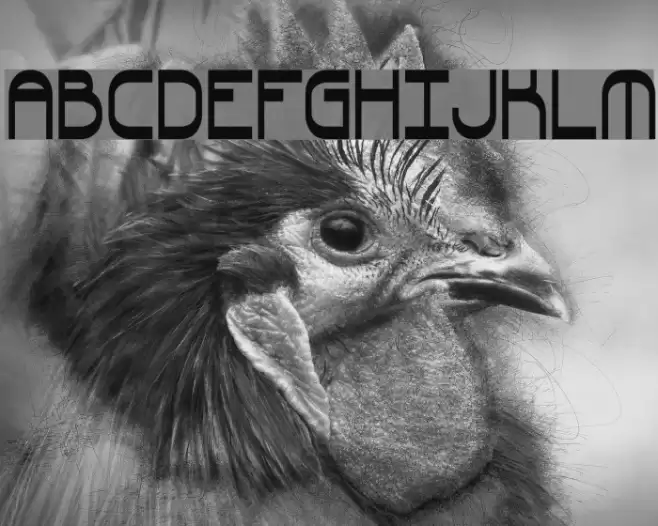 Quacksalver BRK Font examples