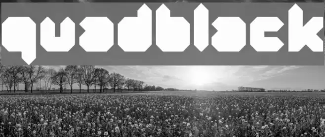 Quad-Black Font examples