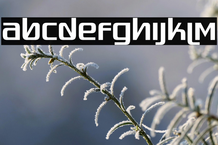 Quadaptor-Regular Example 3