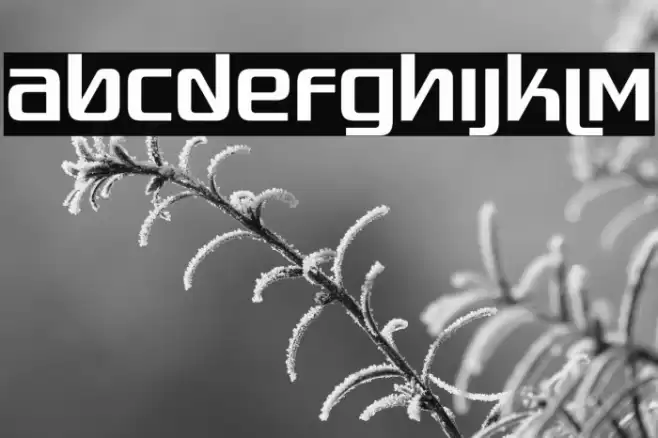 Quadaptor-Regular Font examples